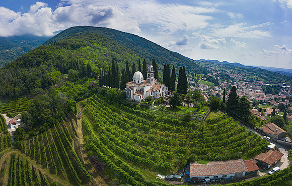 Vineyards  along the Prosecco road_