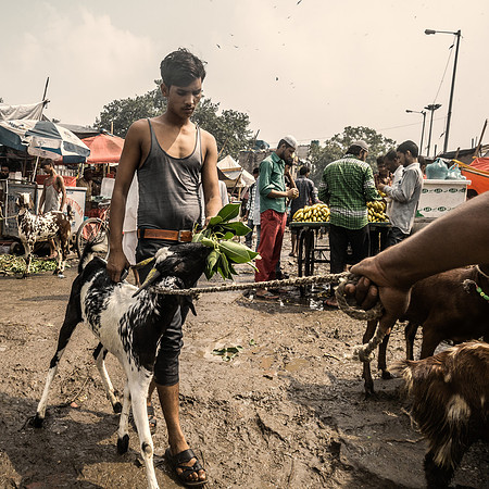 CBS20150919_0964-Edit-Exposure