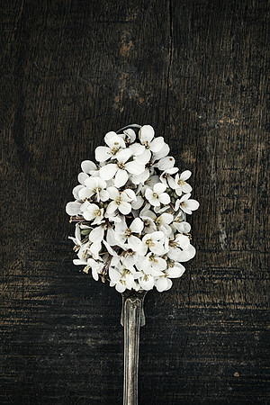 Vintage spoon with white flowers