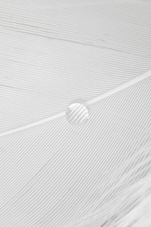 Water dropplet on white feather